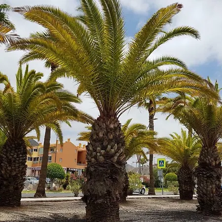 Las Plataneras Two Bedrooms In Los Cristianos *